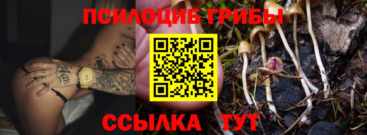 Псилоцибиновые грибы Psilocybine cubensis  Вход с VPN  Лабытнанги  хочу   Псилоцибиновые грибы GOLDEN TEACHER 